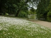 DSC00536