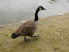DSC00508