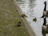 DSC00550