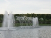 DSC00768