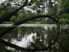 DSC00901