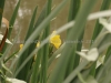 DSC00935