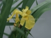 DSC00947