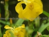 DSC01025