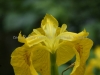 DSC01028