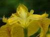 DSC01031