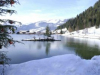 PICT0514.jpg