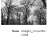 080225_RapidoResizer09.jpg