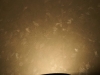 pict7991.jpg