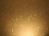 pict7993.jpg