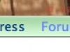 080412_SimpleForum09.jpg