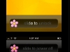 flowersliders2.jpg