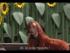 081105_Opera2.jpg