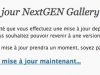 081206_NGG4.jpg