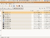 081230_Dellmini_photos1.jpg