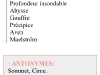 synonymes4.jpg