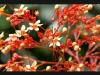 091230_Photoshop02