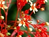 091230_Photoshop05