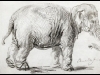 100227_ArtLite05