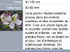 100502_fleursenpoche05
