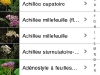 100502_fleursenpoche13