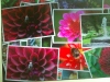 100508_camera00a