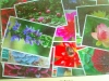 100508_camera01a