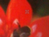 100508_camera03