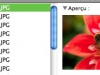 100605_ClipTwin2_09