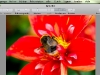 100605_ClipTwin2_14