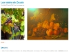 twitter1