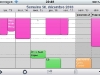101226_WeekCal_33