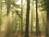 110304_Wunderlist_08