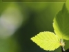 110304_Wunderlist_09