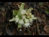 110411_Popcarte_04