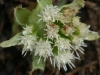 110411_Popcarte_05