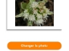 110411_Popcarte_06