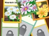 110605_Flowers03