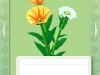 110605_Flowers19