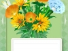110605_Flowers22