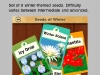 110605_Flowers26