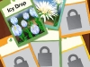110605_Flowers27