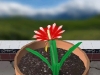 110605_Flowers28