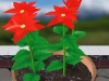 110605_Flowers37