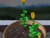 110605_Flowers40