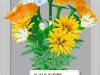 110603-bouquet_09