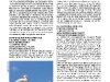 110729_Hunawihr
