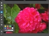 120204_annotation_01