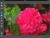 120204_annotation_02