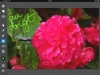 120204_annotation_04